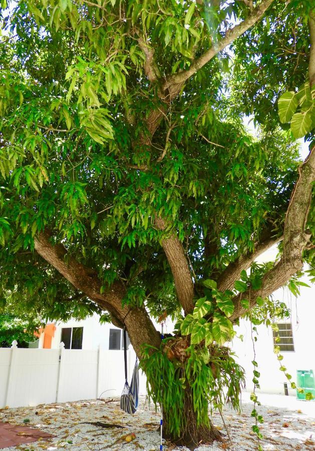 Enchanting Cozy Apartment 10 Min Away From Airport, Calle 8, Brickell, Coral Gables, The Beach And More! Miami Exteriör bild